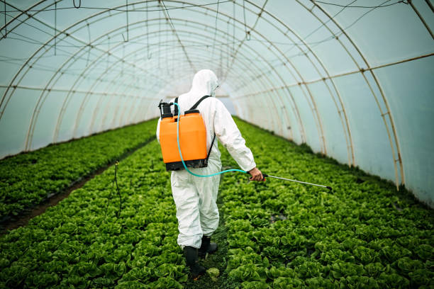 Best Mosquito Control Services  in Skiato, OK