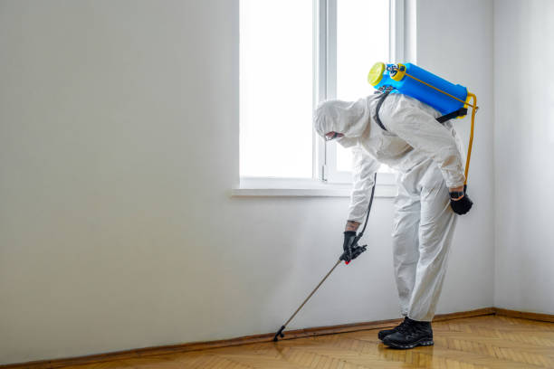 Best Pest Removal Services  in Skiato, OK