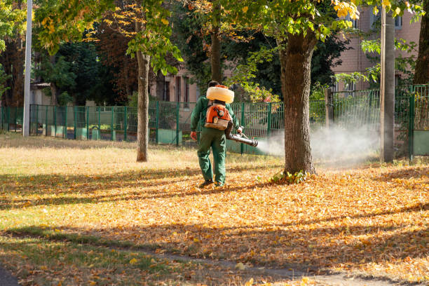 Best Insect Control  in Skiato, OK