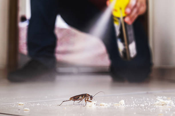 Professional Pest Control in Skiatook, OK