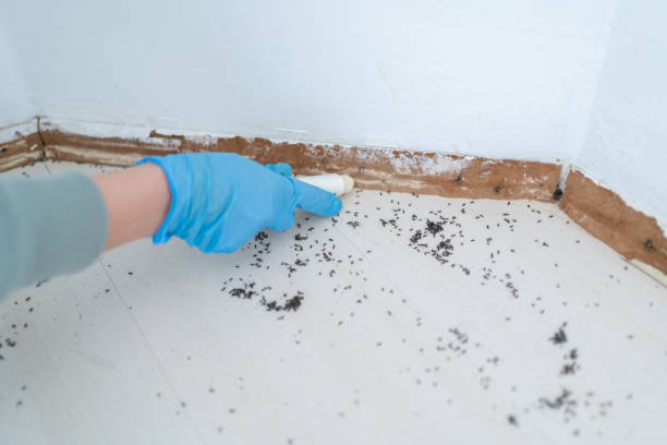 Best Pest Removal Services  in Skiato, OK