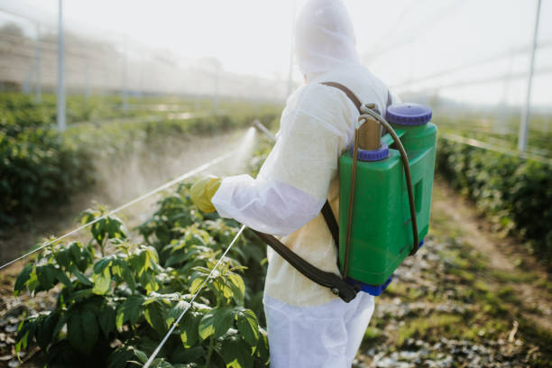 Insect Control in Skiatook, OK